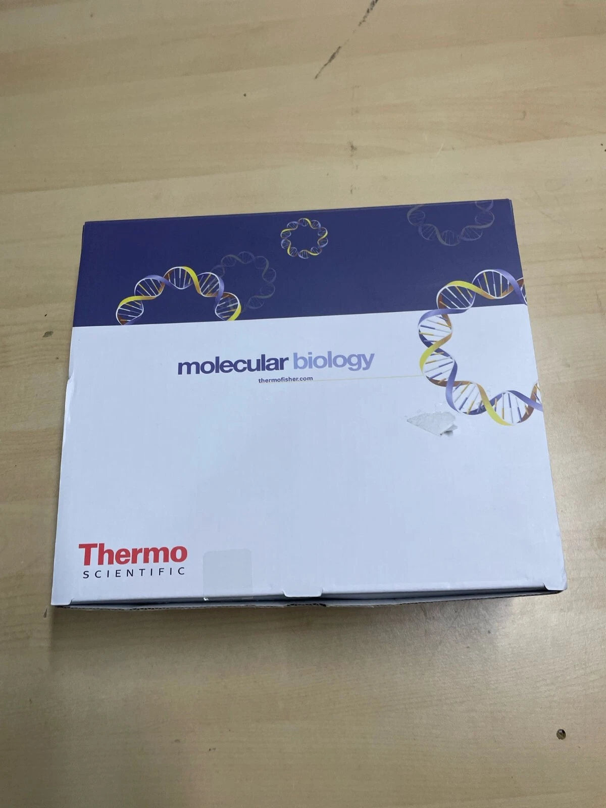 Thermo Scientific Armadillo PCR Plate 96-Well Clear Semi-Skirted AB-2596/B