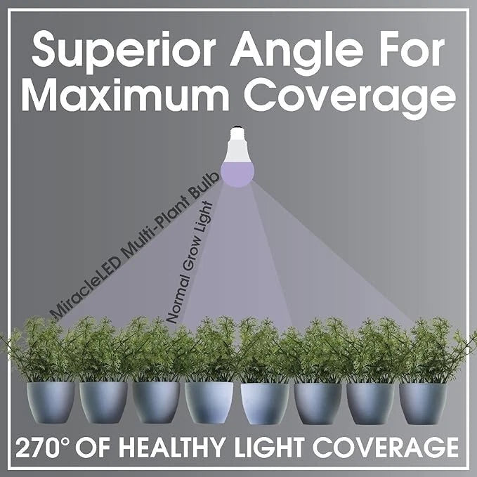 Miracle LED 609591 144sqft of combined growing, Indoor Greenhouse string lights
