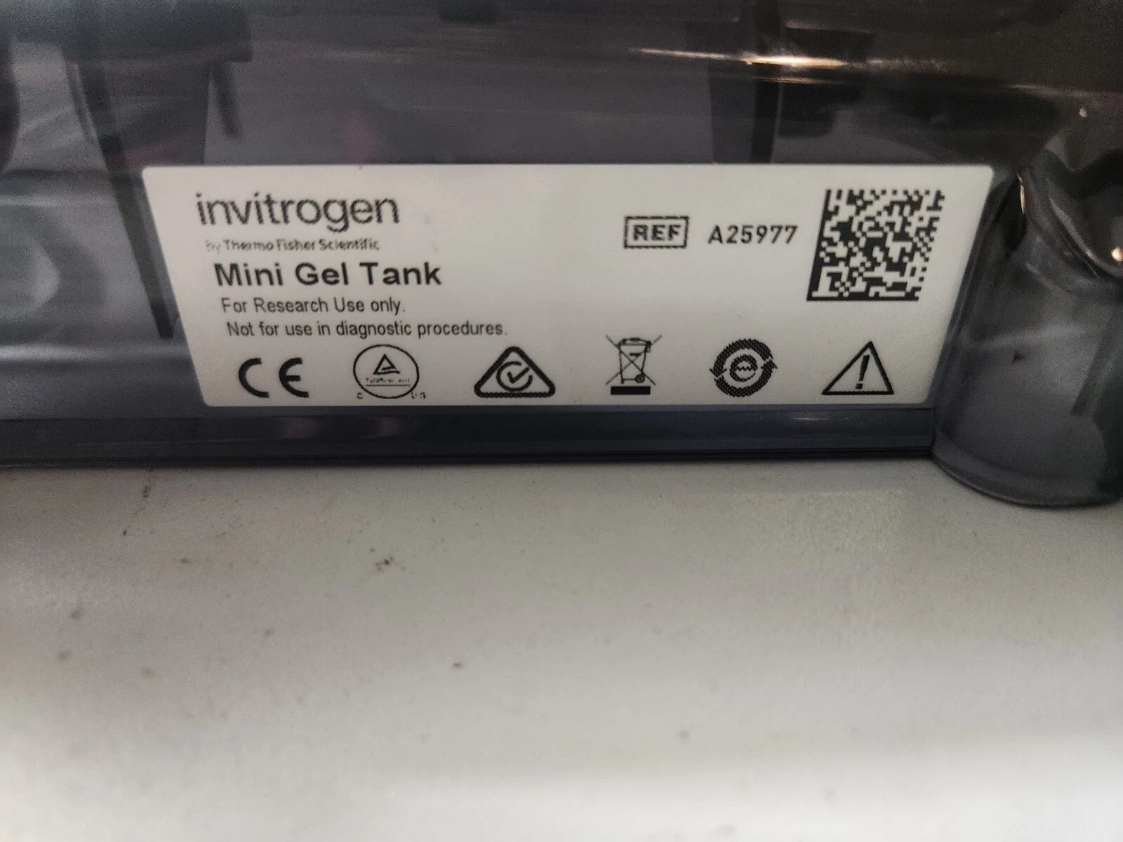 Thermo Scientific A25977 Electrophoresis Does Not Include Tank ONLY Electrodes