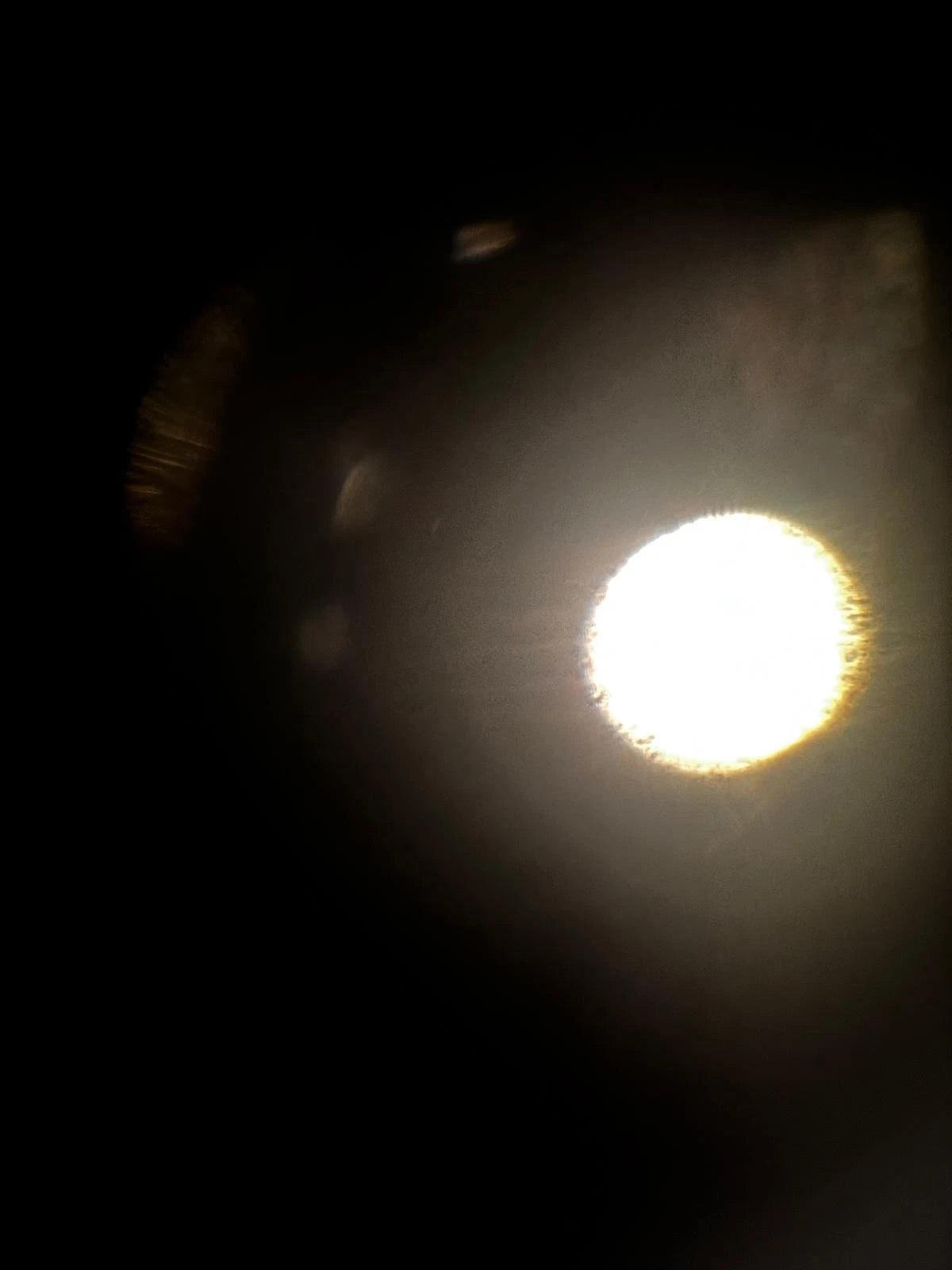 Zeiss ID 47 12 03 - 9901 Microscope